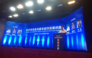 專家論道長沙 文化資本融合，借力新三板與互聯(lián)網(wǎng)共舞